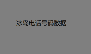 冰岛电话号码数据